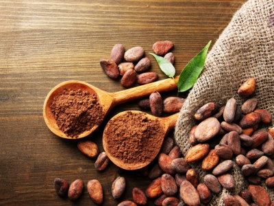 Les bienfaits du cacao