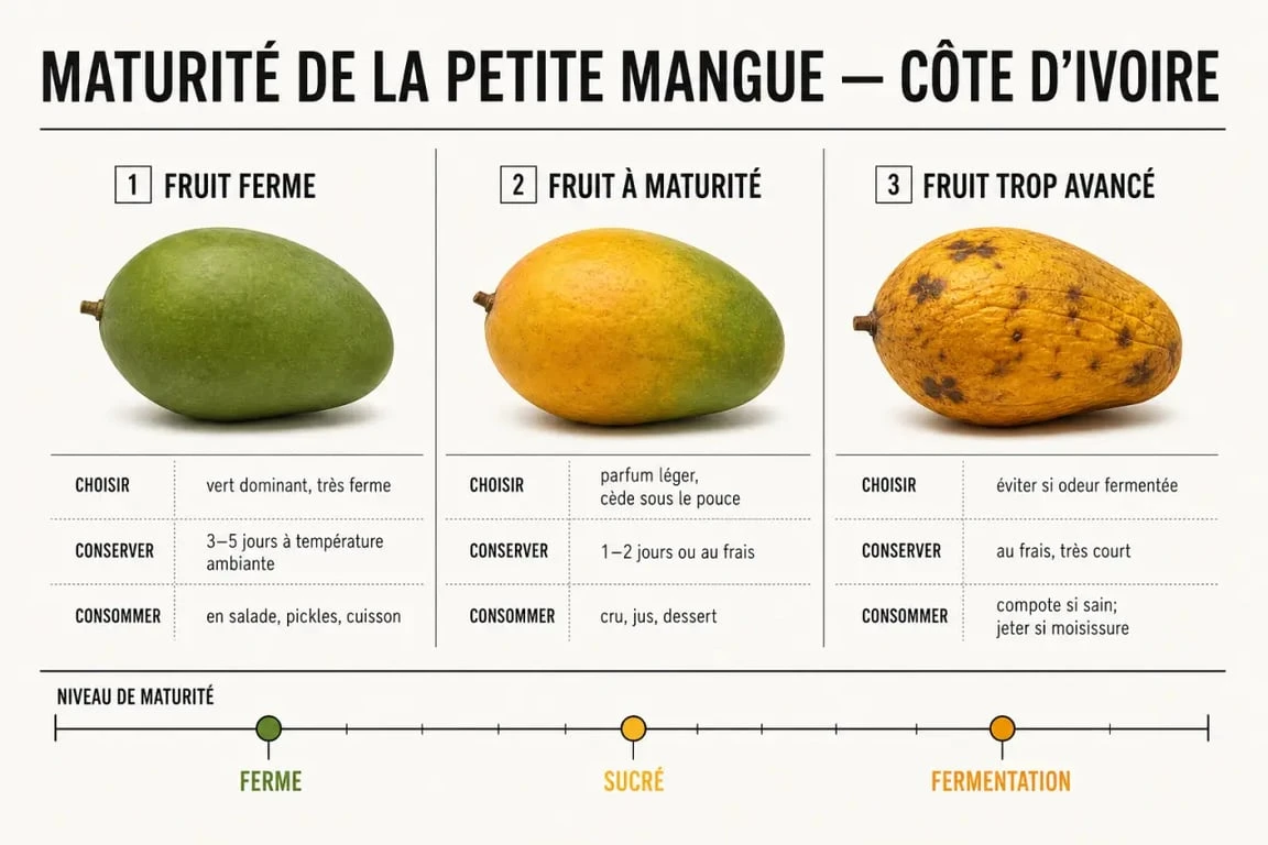 Repères pour choisir une petite mangue Côte d'Ivoire mûre et bien conservée