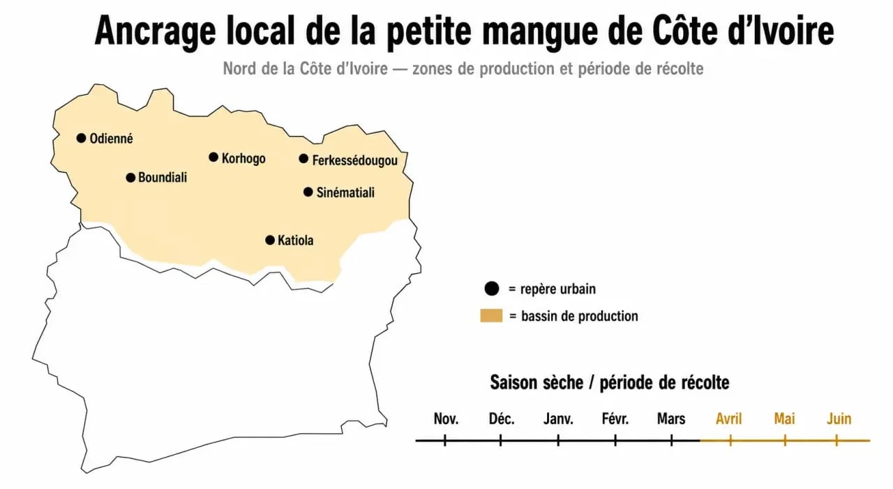 Carte de la petite mangue Côte d'Ivoire avec les zones de production et la saison