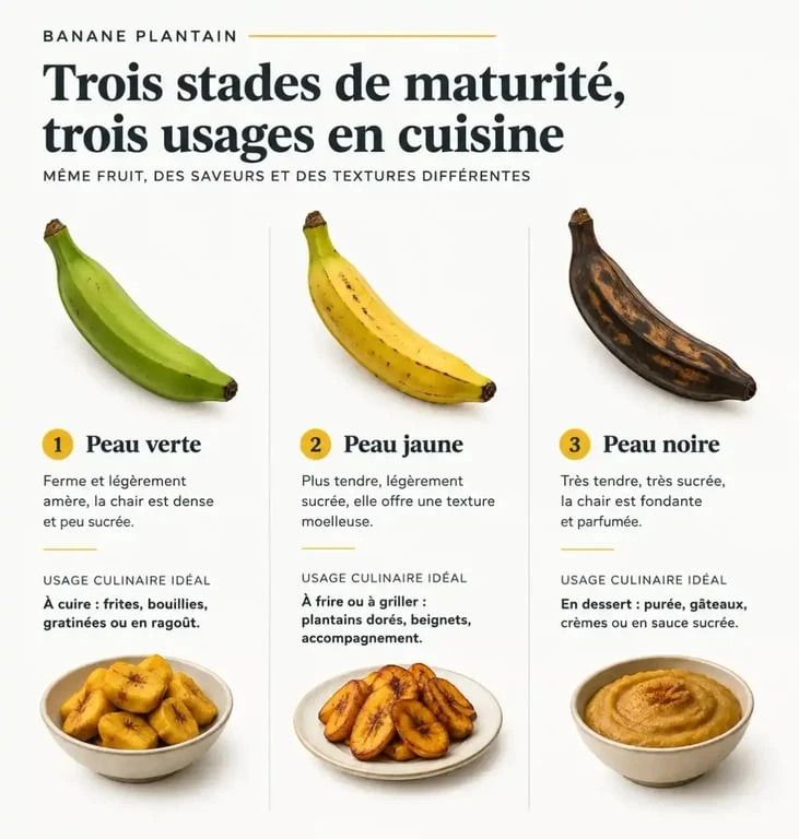 Stades de maturité de la banane plantain pour la cuisson